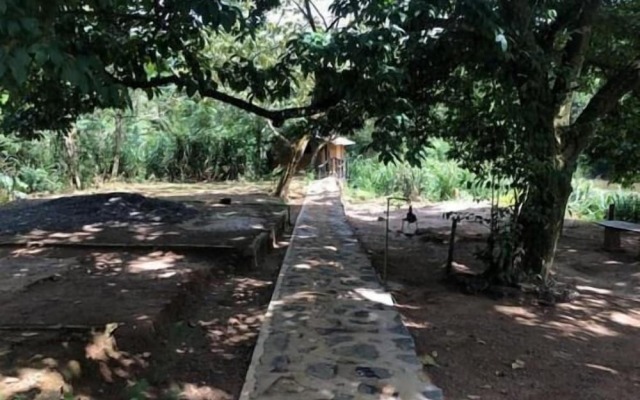 Sinharaja Rainforest View Villas