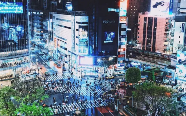 Tokyo Urban Flat Hotel 101