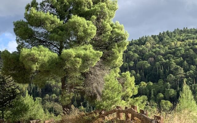 Villa Santa Margherita