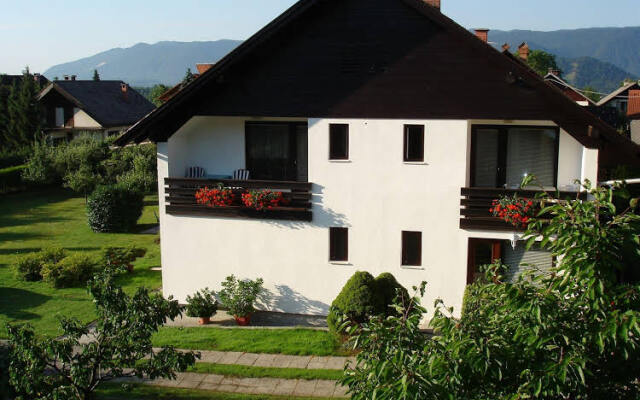 Apartments Vidic