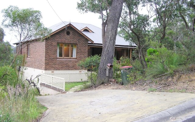 Boobook Hollow