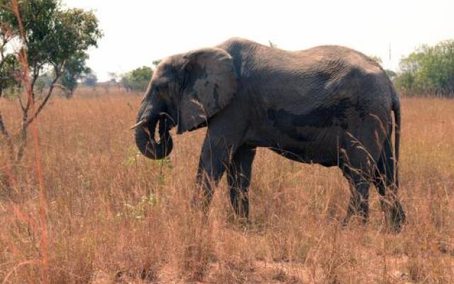 Chaminuka Lodge and Nature Reserve