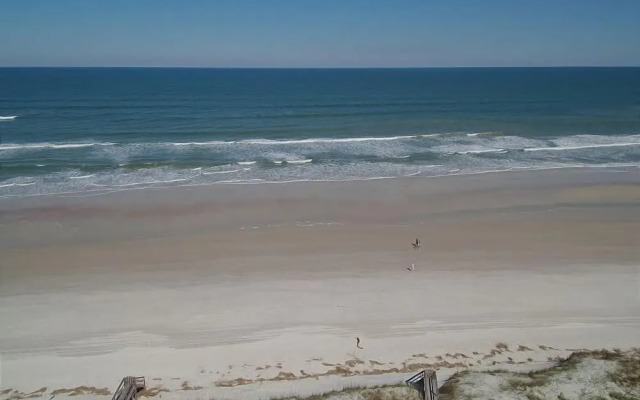 Just Paradise