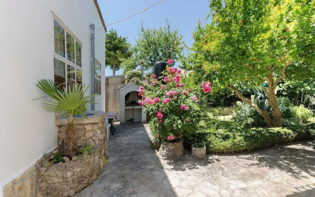 Apartments Mirjana Blue Beach