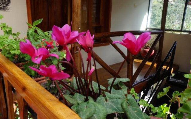 Ollantaytampu Hostel Patacalle