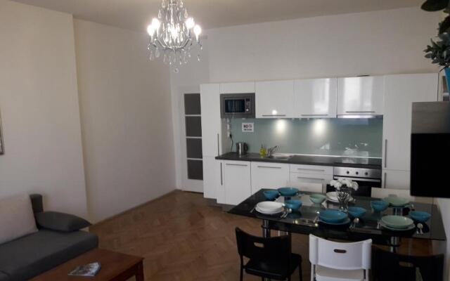 Old Town spacious apartment