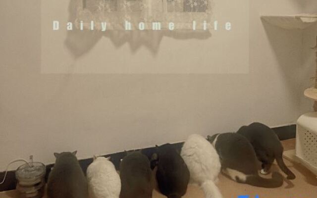 Xiaomi Apartment (Xiamen Gaoqi Airport)