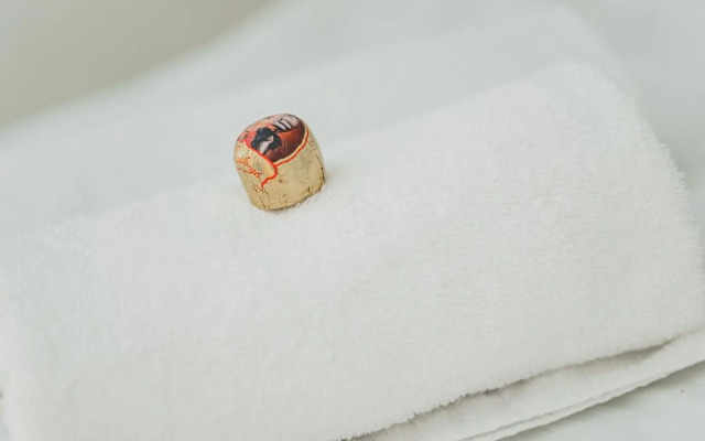 Zeus Design Apartments Schönbrunn