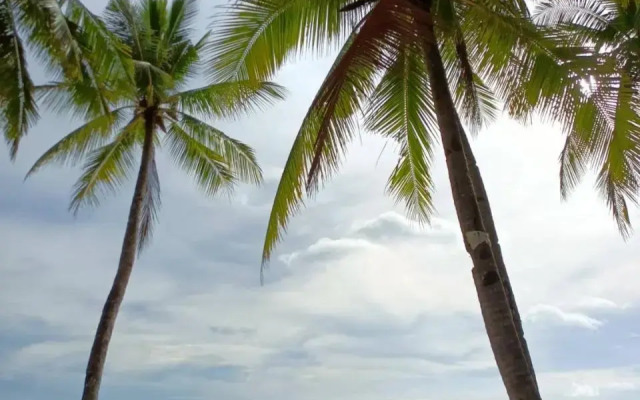 Casita Isla Beach Inn