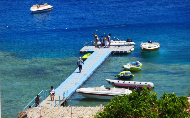 Sharks Bay Oasis