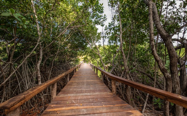Bella Vista Resort Belize