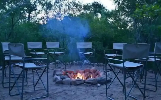 Wild Olive Tree Camp