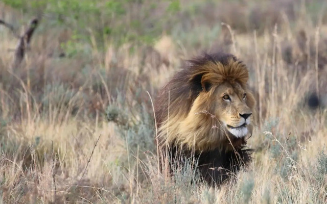 Shakama Private Game Lodge & Spa