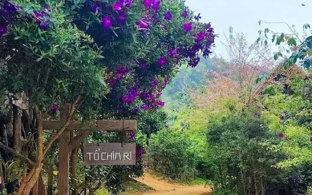 To Chim Ri Homestay Mang Đen