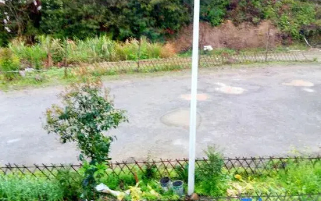 Yuyan Homestay
