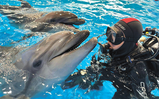 Океан (Владивосток)