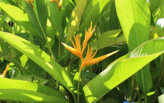 Nanmei Hot Spring Mountain Villa