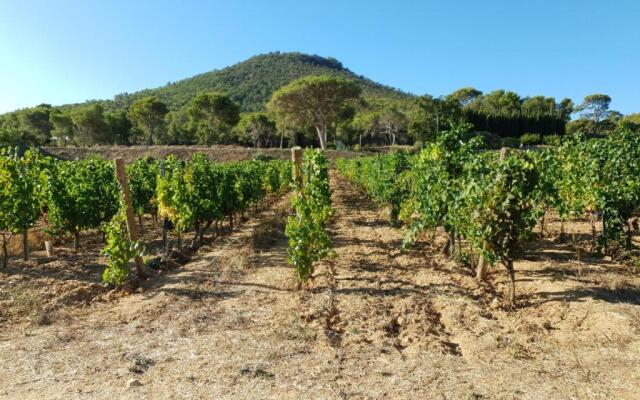 Domaine De La Navicelle - Oiseaux 2