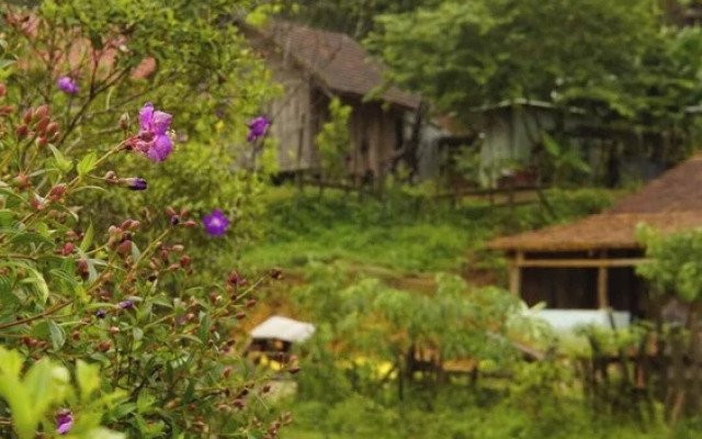 To Chim Ri Homestay Mang Đen