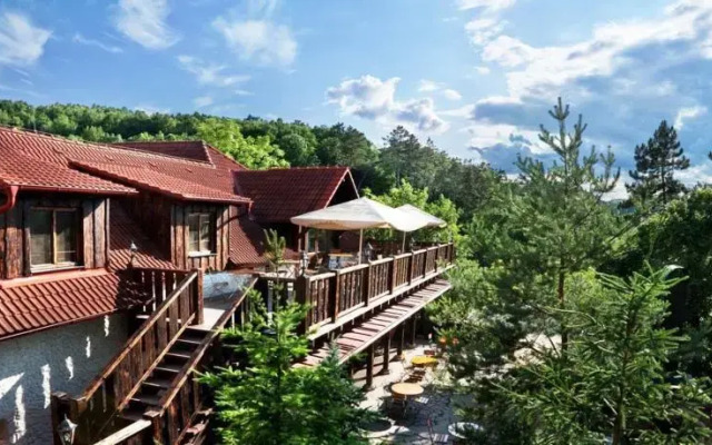 Černý Kohout