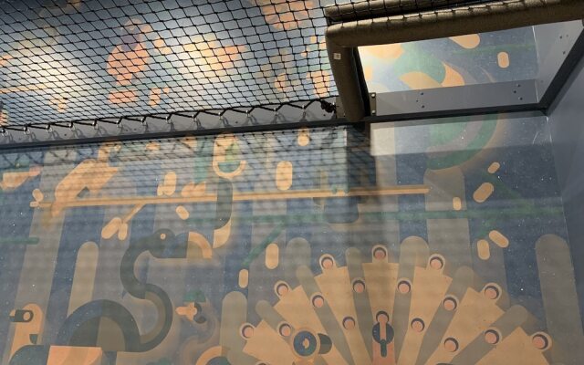QBEDS Hostel
