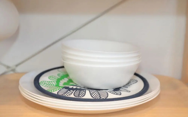 Vivid Zebra House - 197-1