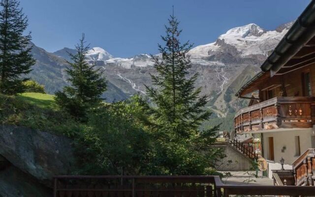 Apartment Bergfink Saas-Fee 16126