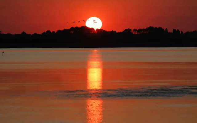 Sun Drenched Seaside Holiday Home near Venice