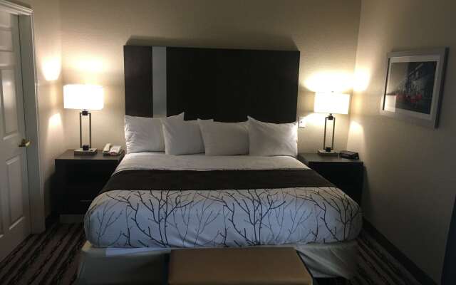 Best Western Boerne Inn & Suites