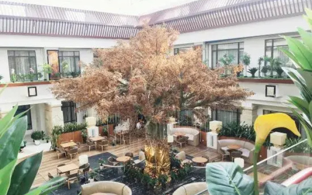 Amber Theme Hotel