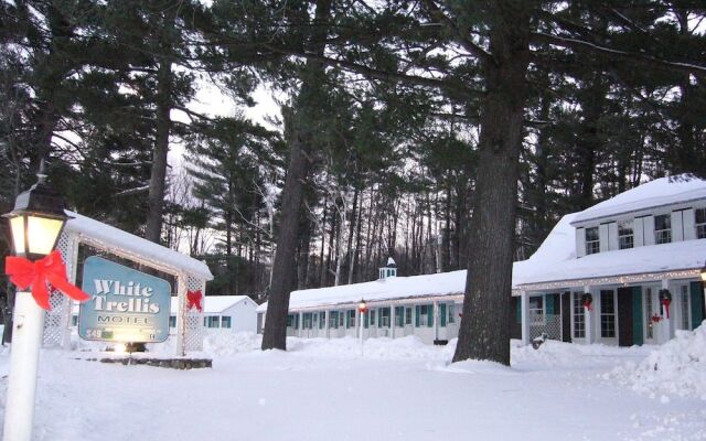White Trellis Motel