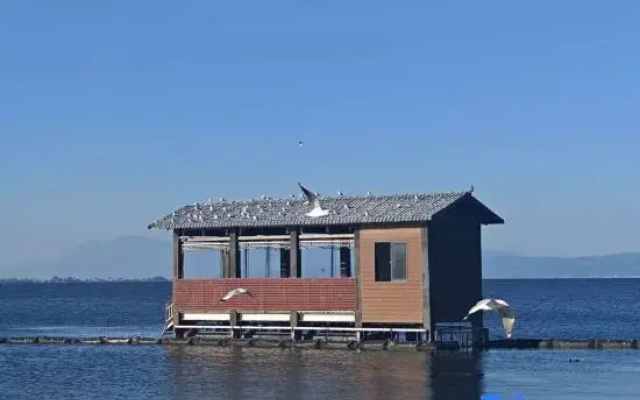 Erhai Encounter • Song-style Design Guesthouse Caicun Wharf, Erhai Lake, Dali