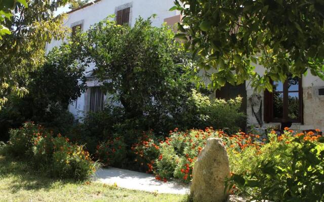 The House In The Country