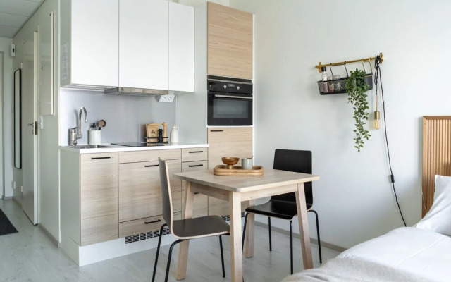 Stylish apartment in the city center