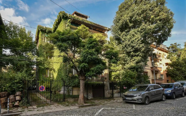 The Ivy House - A Cozy Attic near the City Center