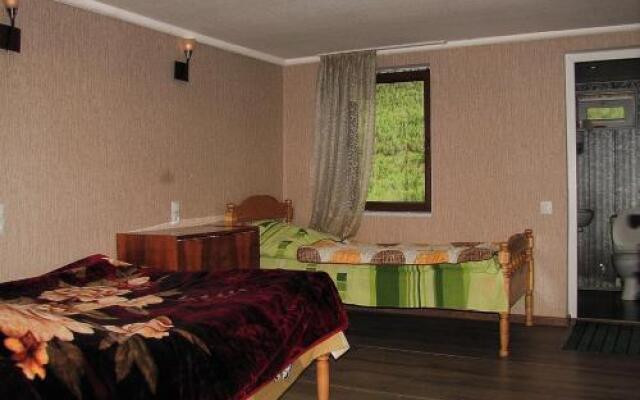 Guesthouse Ushguli Maspindzeli