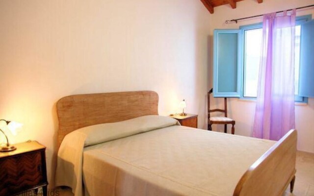 The Courtyard - Lilly