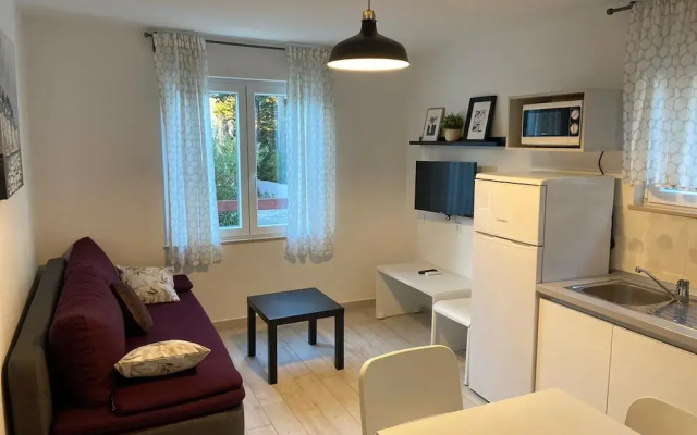 Apartments Darko