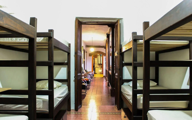 Kingbird Hostel