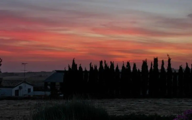 Tenuta Gatto Corvino