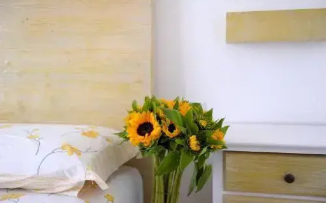 Villa Sofia Bed and Breakfast 2