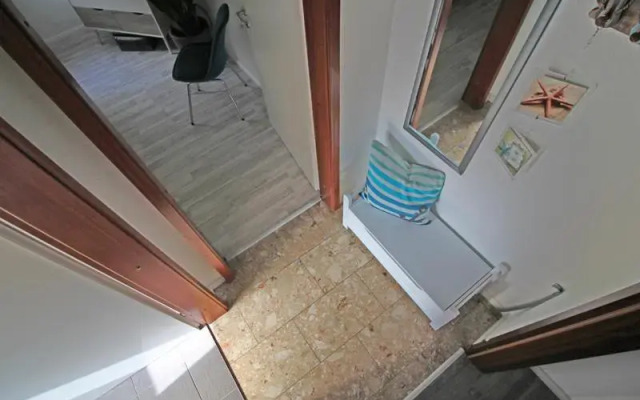 Möwennest am Ihlsee