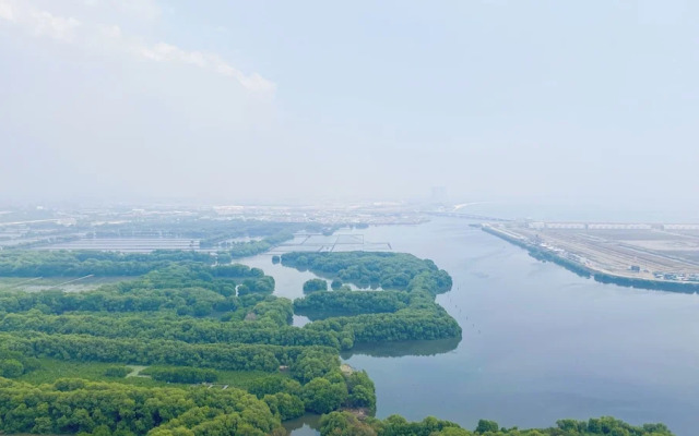 Simply Look Studio at Gold Coast Apartment