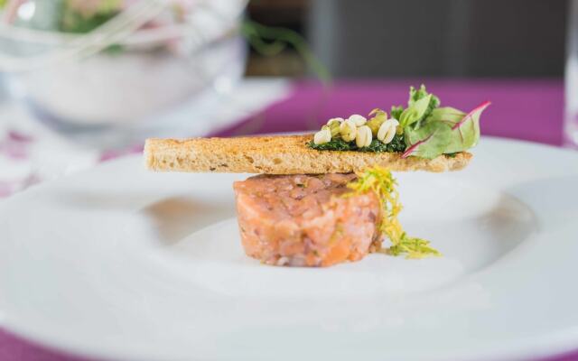 Wellness & Spa hotel Villa Regenhart