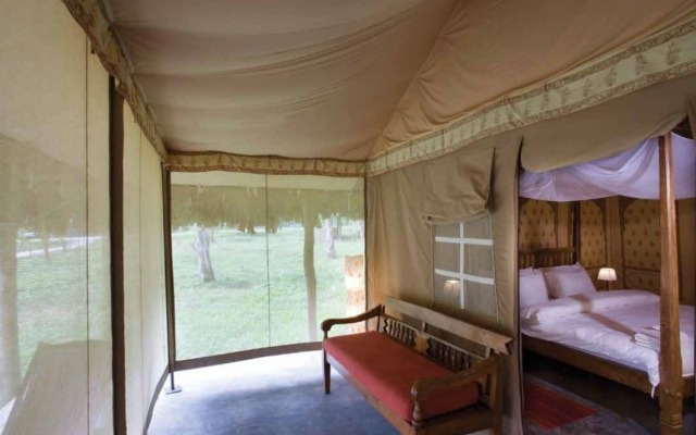 Barefoot at Havelock