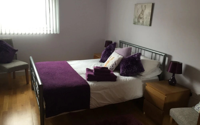 Stunning Spacious City 2 bedroom  Apartment