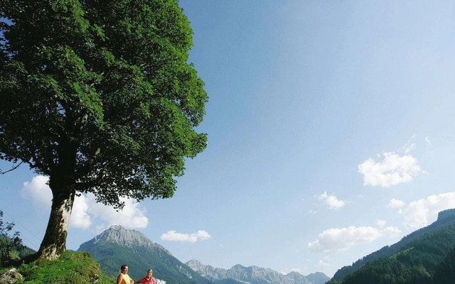 Cozy Holiday Home Amidst Mountains in Kleinarl