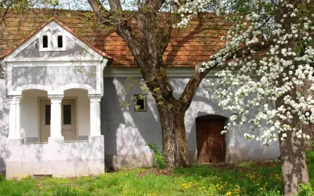 Walnut Garden - Diókert