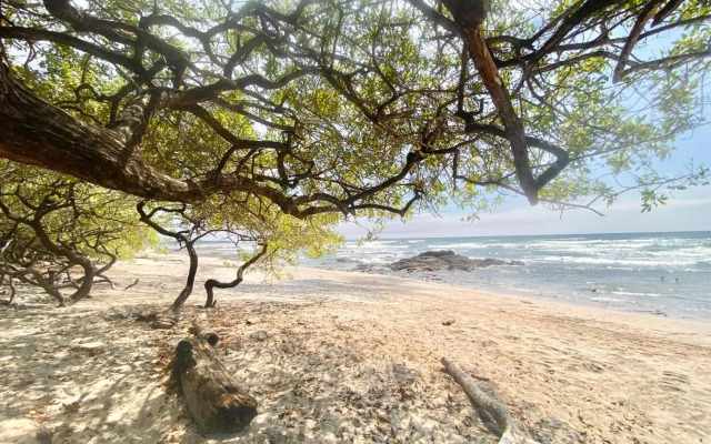 Upscale 2bdr with Jacuzzi - Beach - Fast wifi - Gym