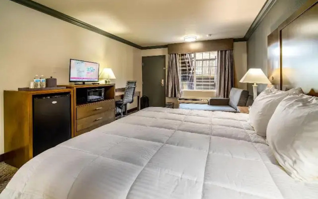 Willow Tree Inn